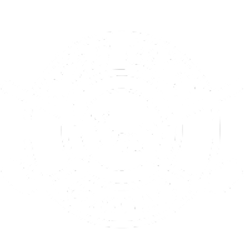 Swingora Logo