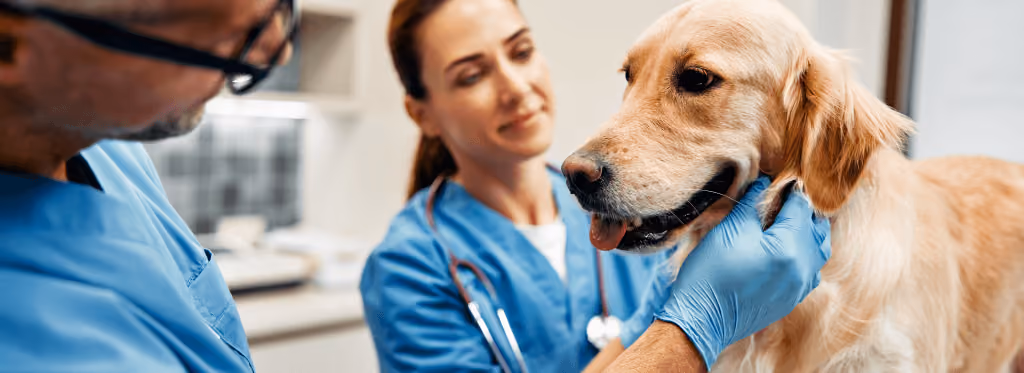 Why Animal Health R&D Teams Resist Digital Tools: Three Patterns from the Teams That Broke Through
