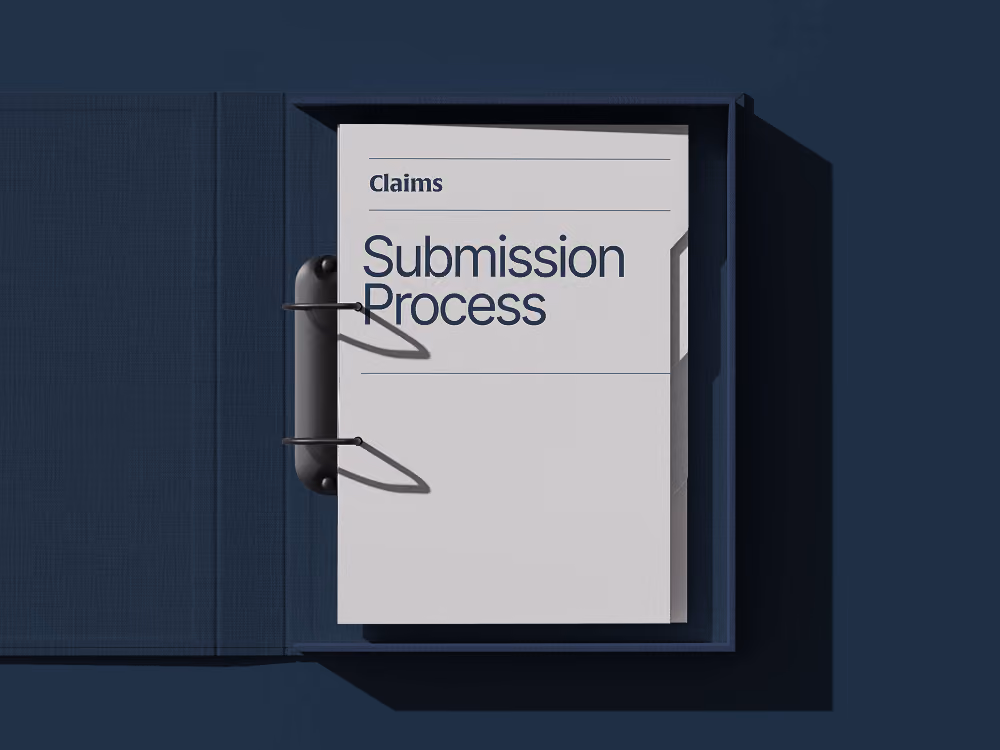 Illustration of the PPS claims process steps