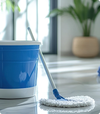 Carpet & Upholstery Cleaning