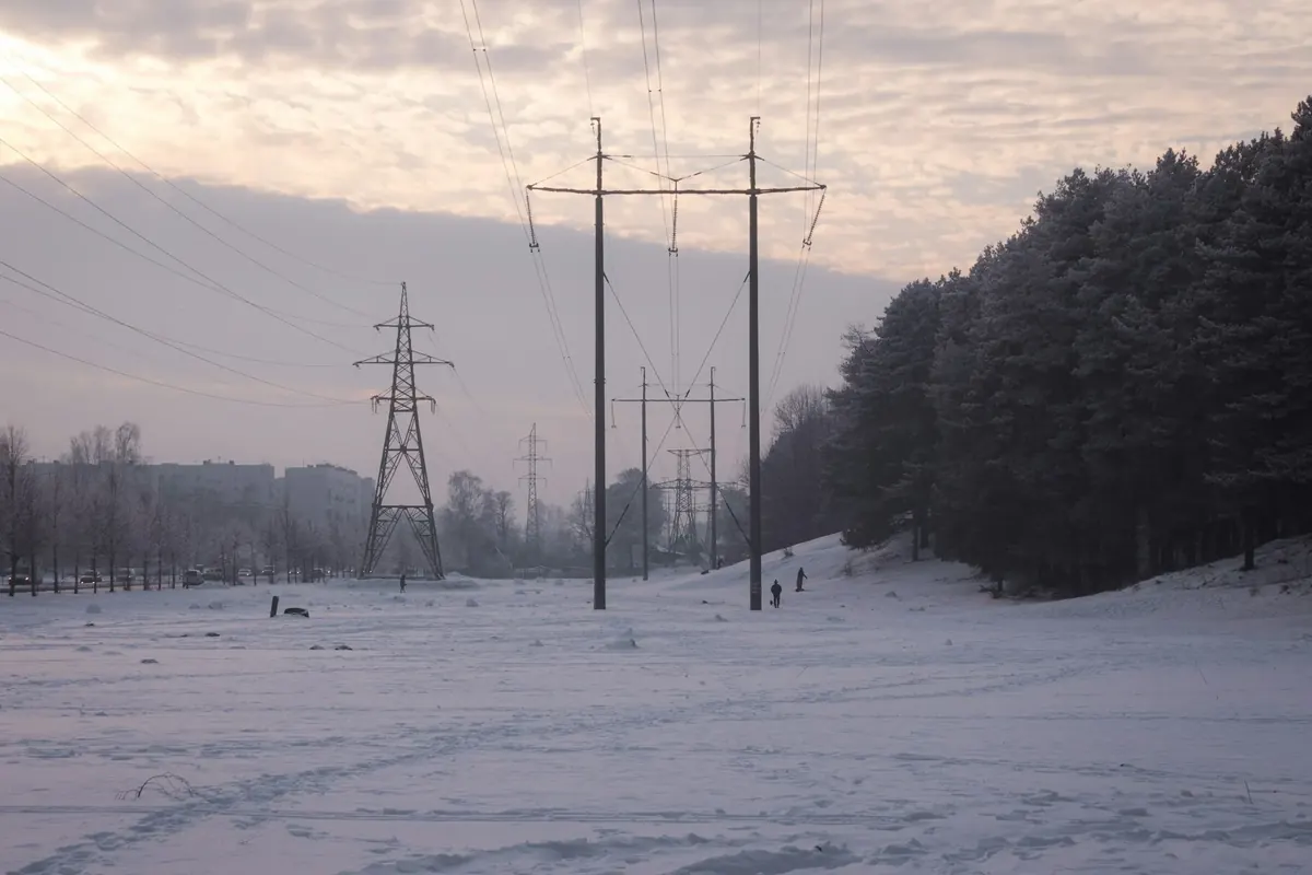 Electricity pylons and power lines crossing a snowy clearing beside a pine forest
