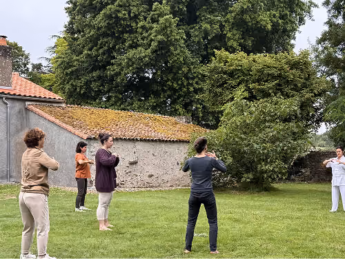 Séance de Qi Gong en plein air à Shizen School