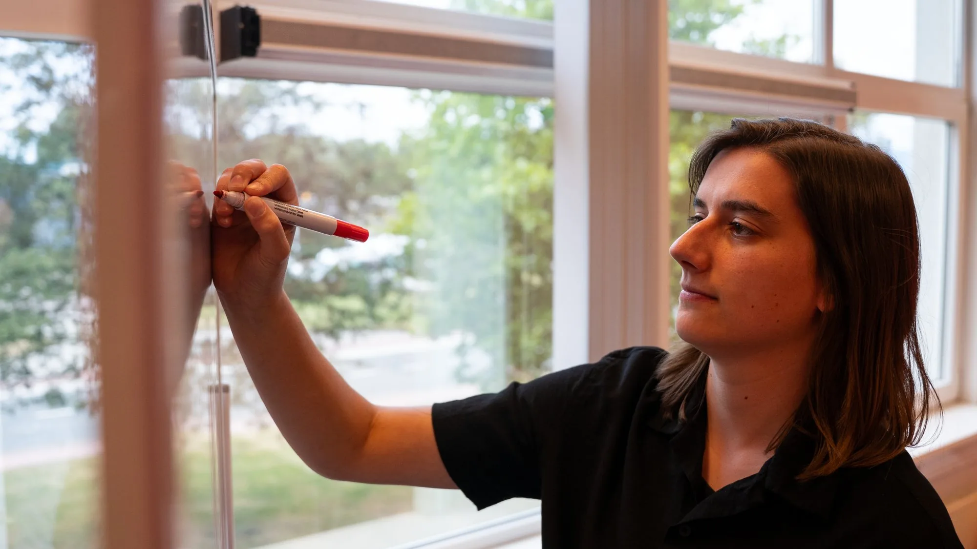 Noa from Pro Contact sketching a website layout on a glass wall