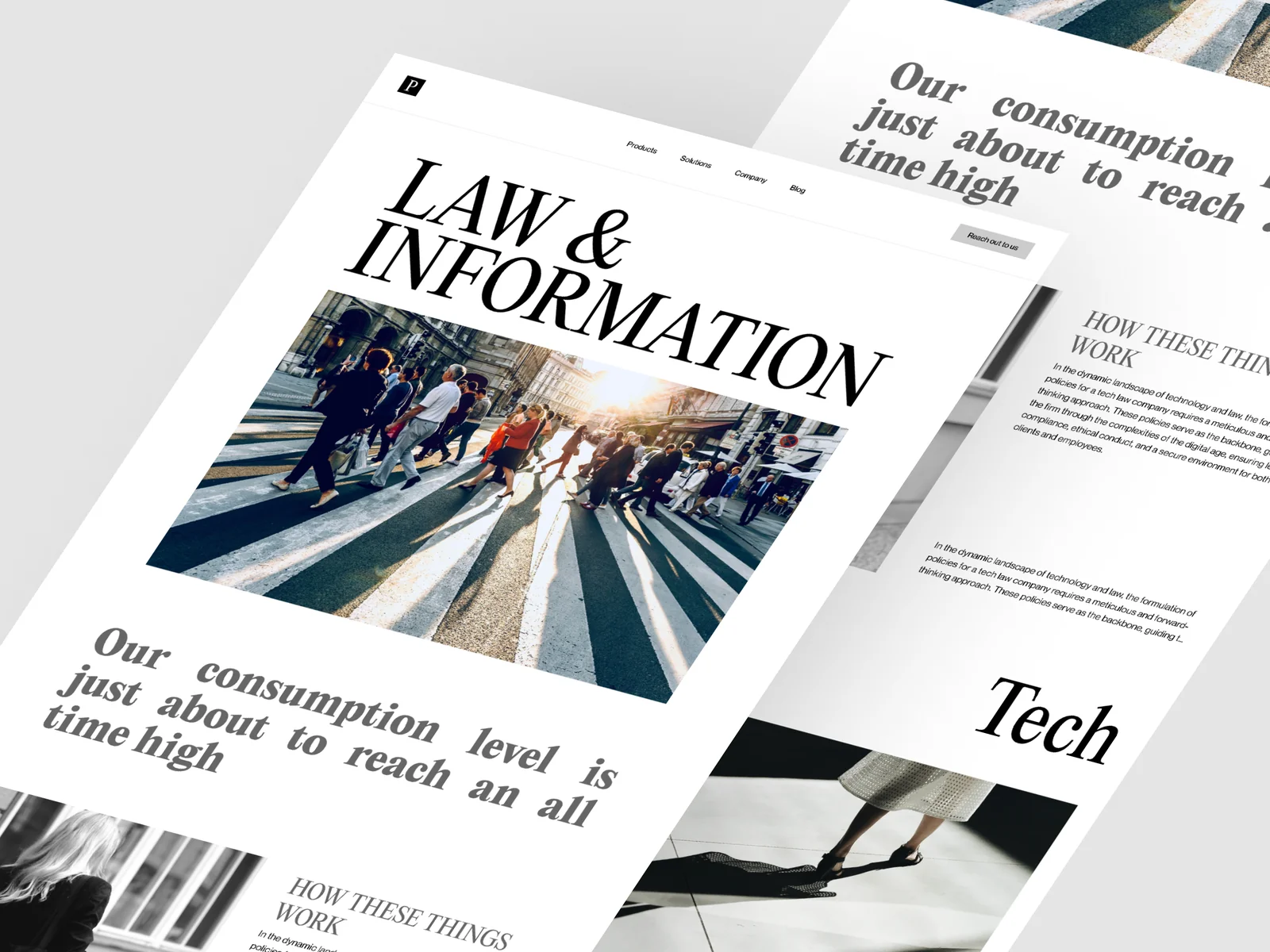 Law and Information editorial print layout