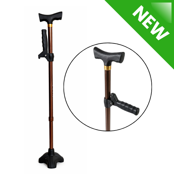 Sit to Stand Walking Stick