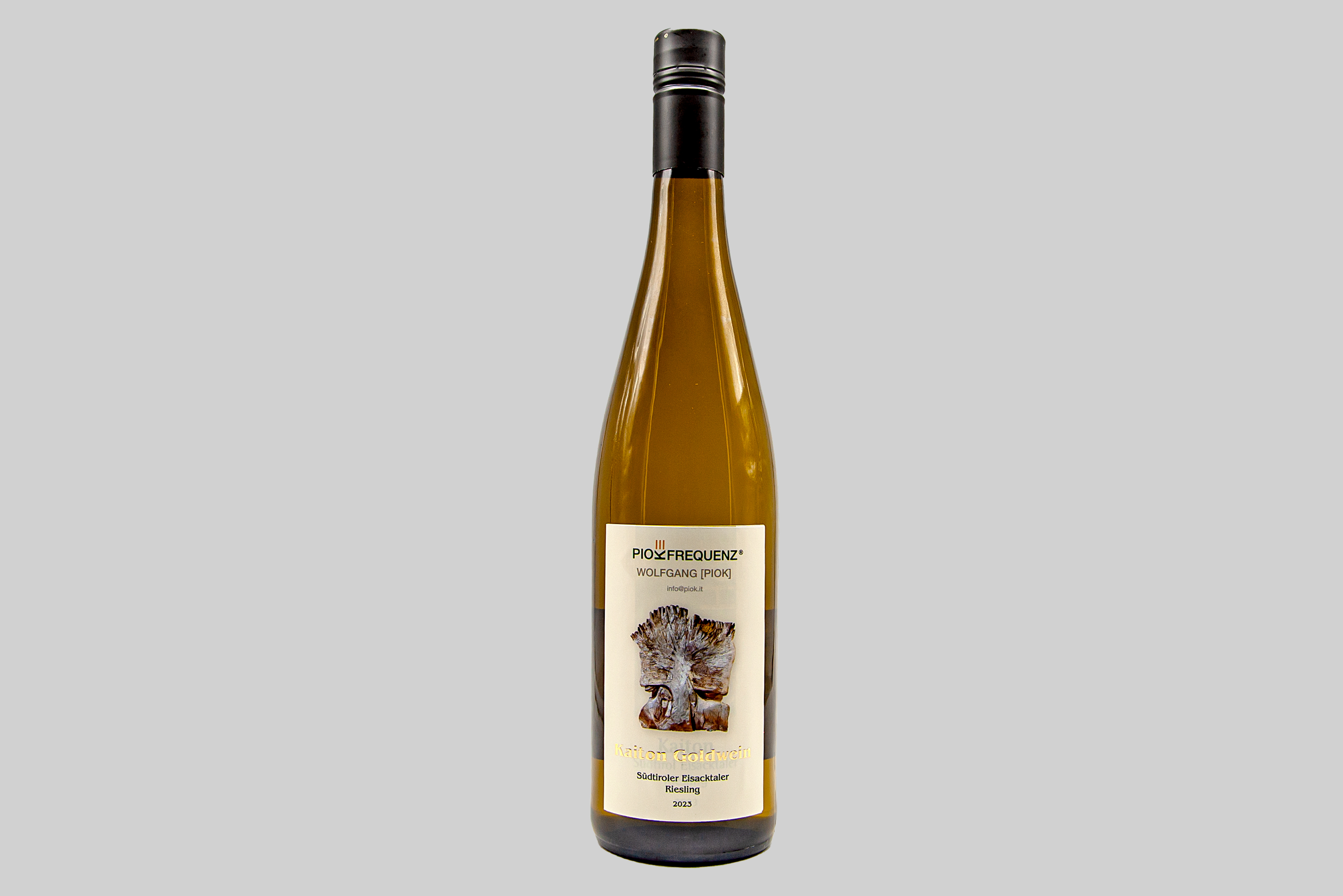 Kaiton Goldwein (nur Abholung / kein Versand möglich)