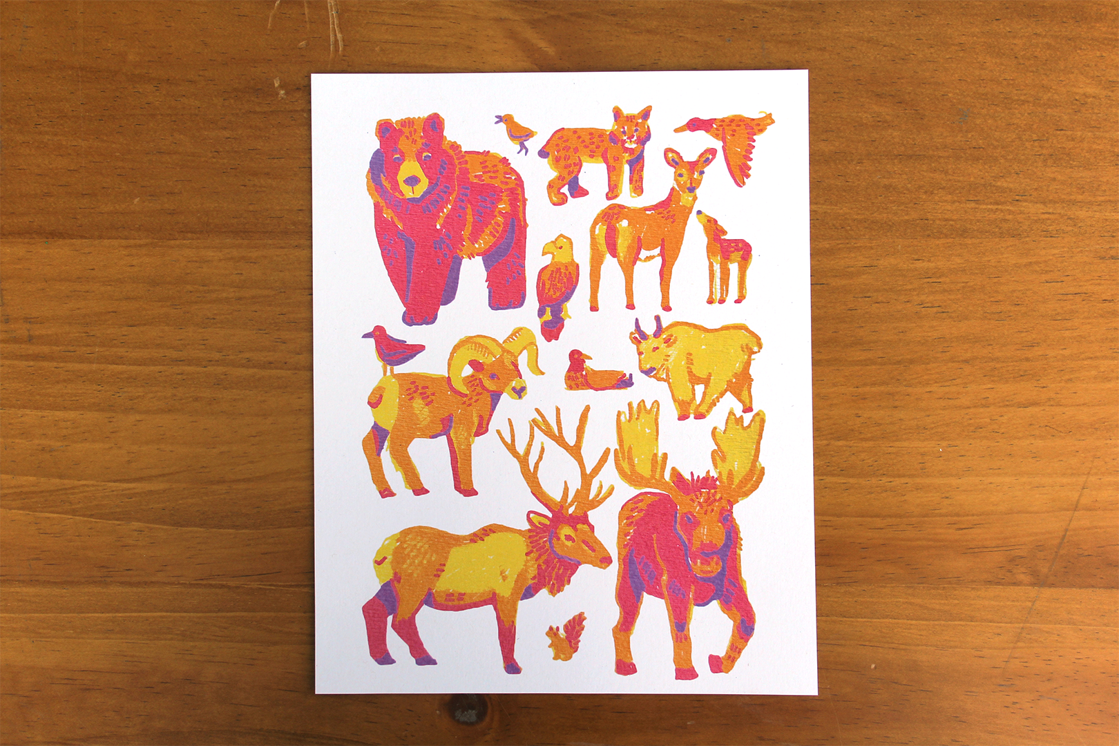 J. Reitan Designs Yellowstone Critters Print