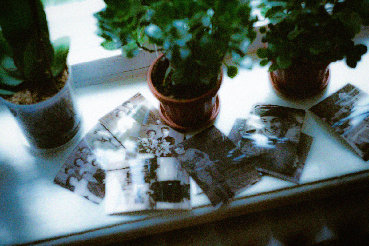 Old family photographs on a windowsill beside small plants