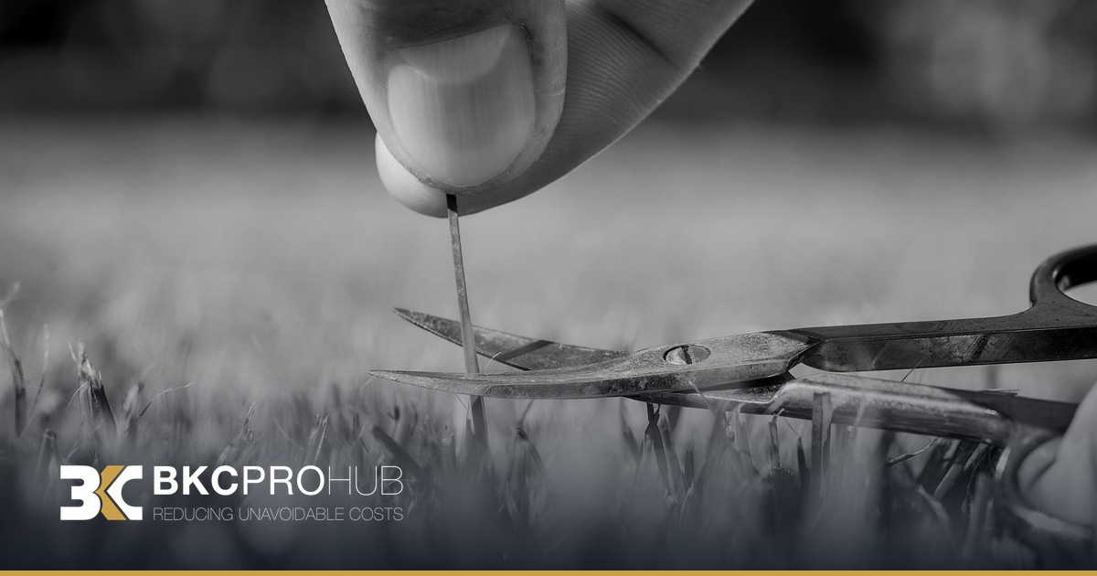 Expenditure Control – A Small Step to Incur Huge Profits