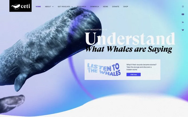 Homepage of Project CETI, a Fri3nds client