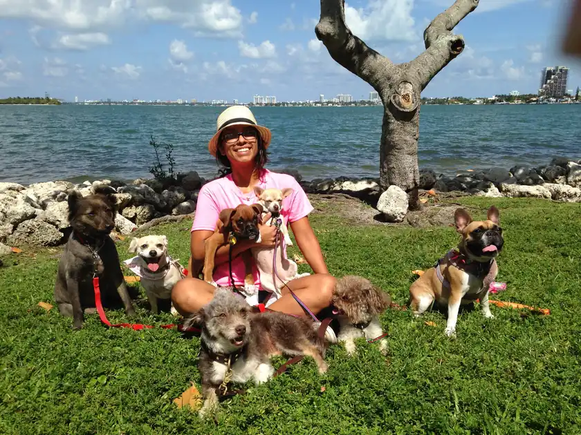 Karla with the Peace Love Paws pack on the Miami waterfront