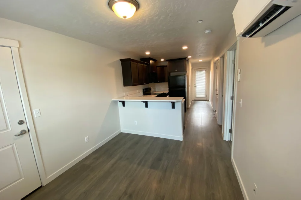 Kitchen & Living Room 