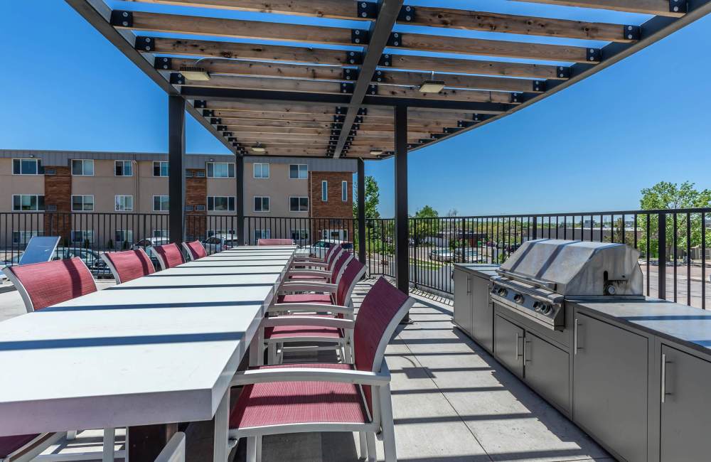 Picnic area with grills