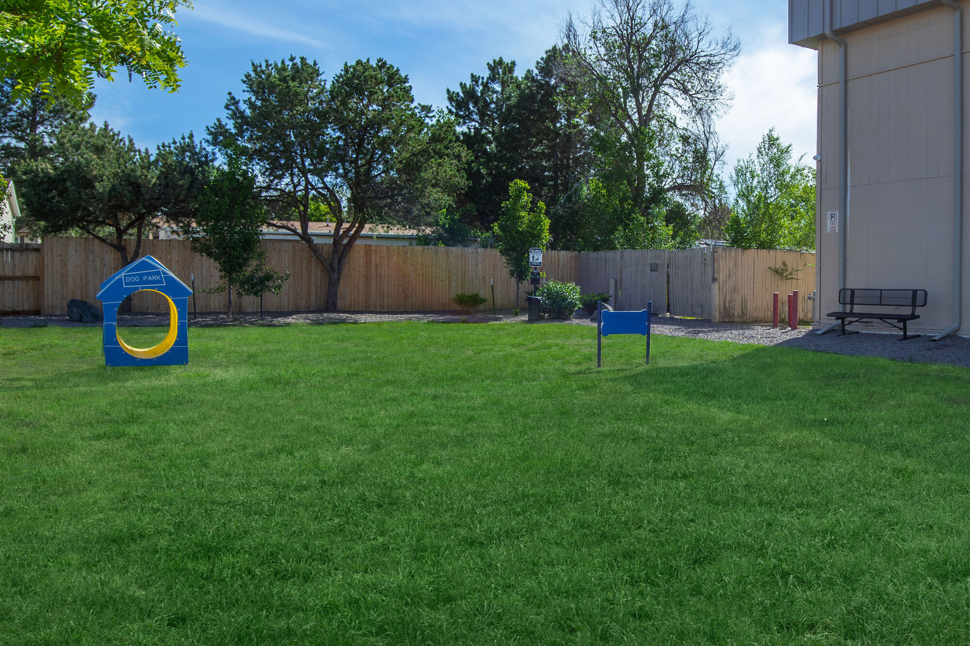 dog play area