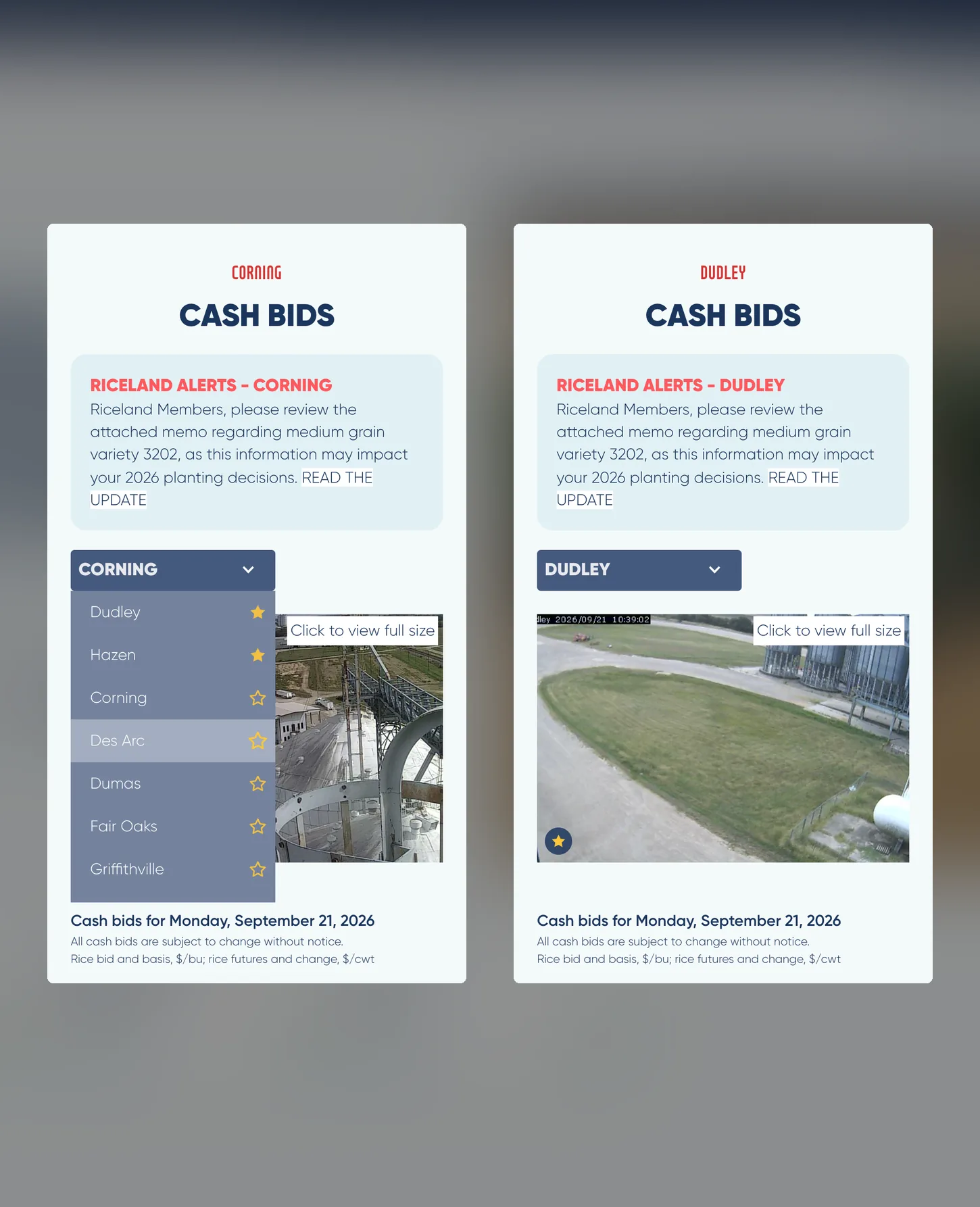 Two phone screens side by side: the camera location list with two starred favorites pinned to the top, and the page reopening on a favorite location