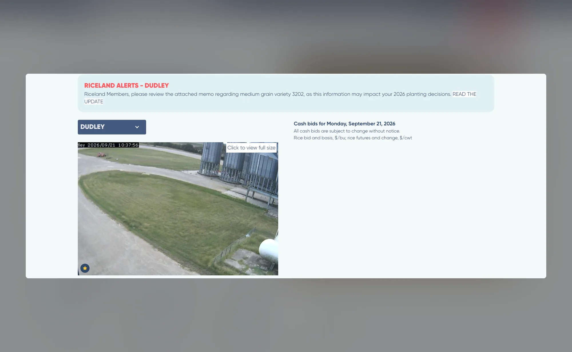The camera page reopened on a member's favorite location, Dudley, with a star badge on the live camera image