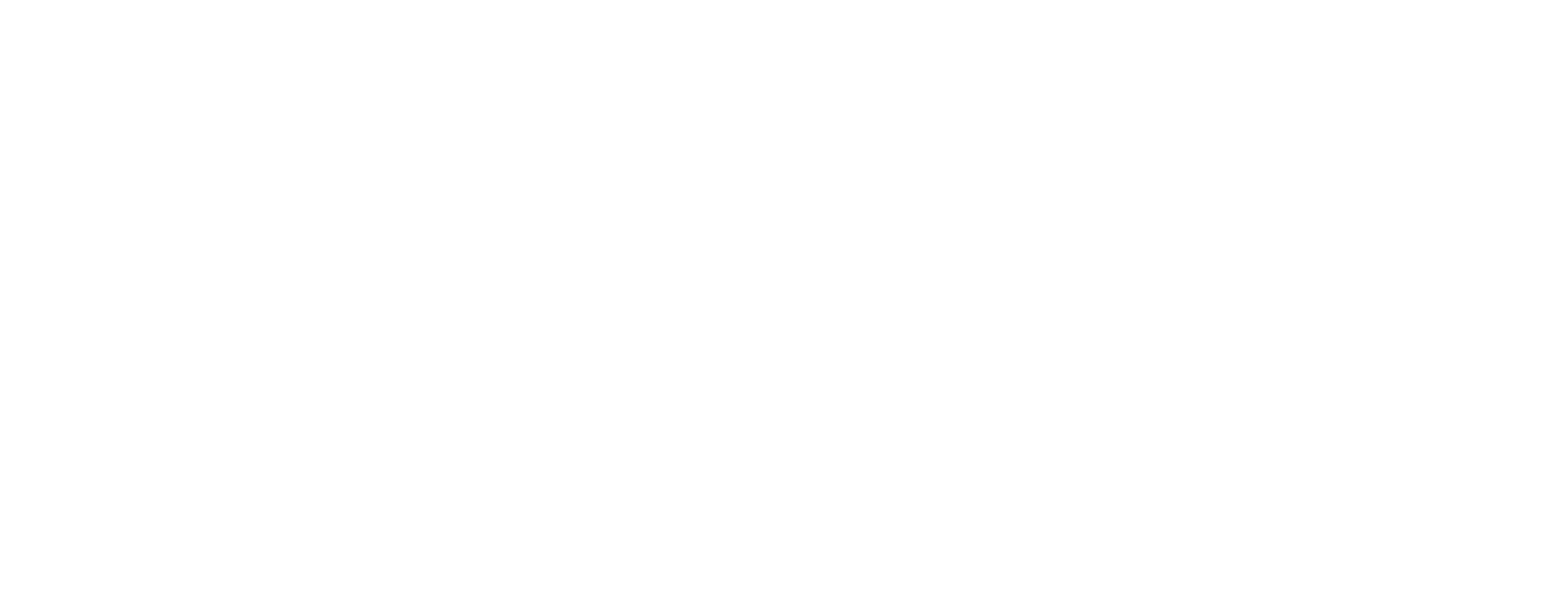 Orginal Logo