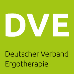 logo: DVE