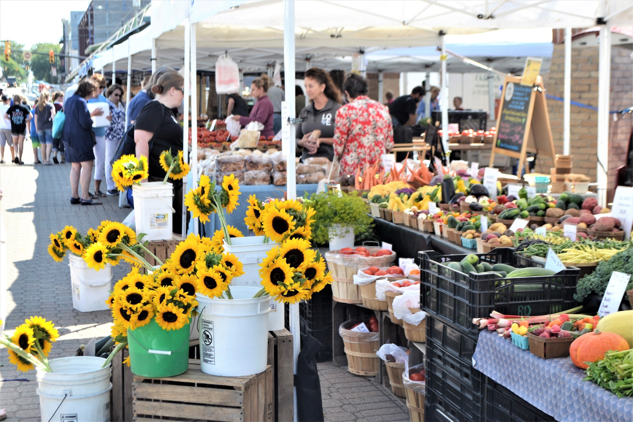 A bustling outdoor farmers market bustles with activity. The market features fresh produce such as tomatoes, corn, and squash. Buckets of bright yellow sunflowers add cheer to the scene. People of all ages shop at the various stalls. The photo captures the joyful mood of a community gathering to purchase fresh goods.