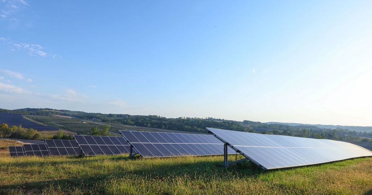 Rows of solar panels on green grassy fields under a clear blue sky with hills in the background during daylight.