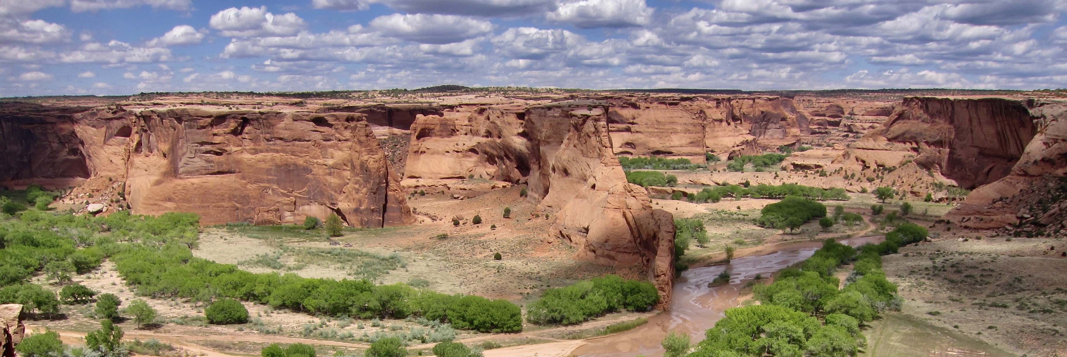 Wide canyon with red rock cliffs, green trees, and a winding muddy river under a cloudy sky.