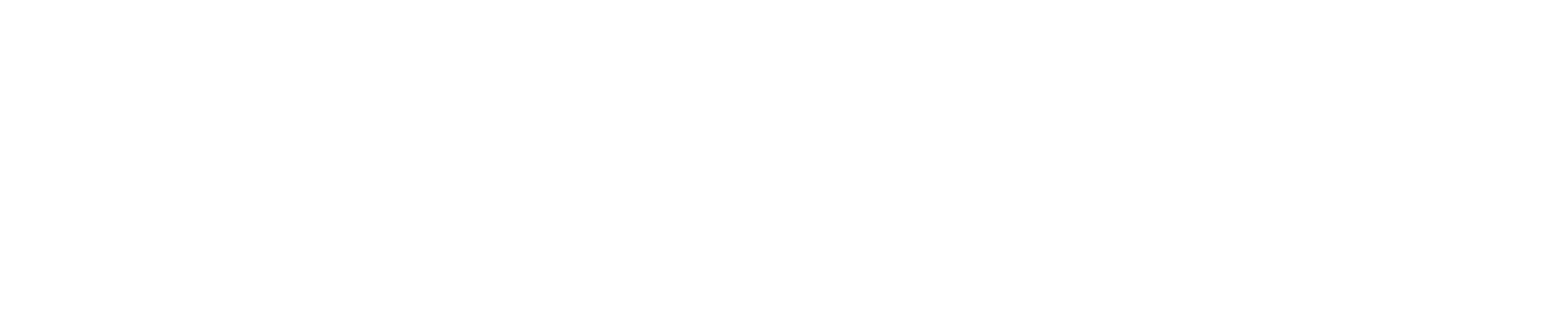 Flamboyant Fortune wordmark