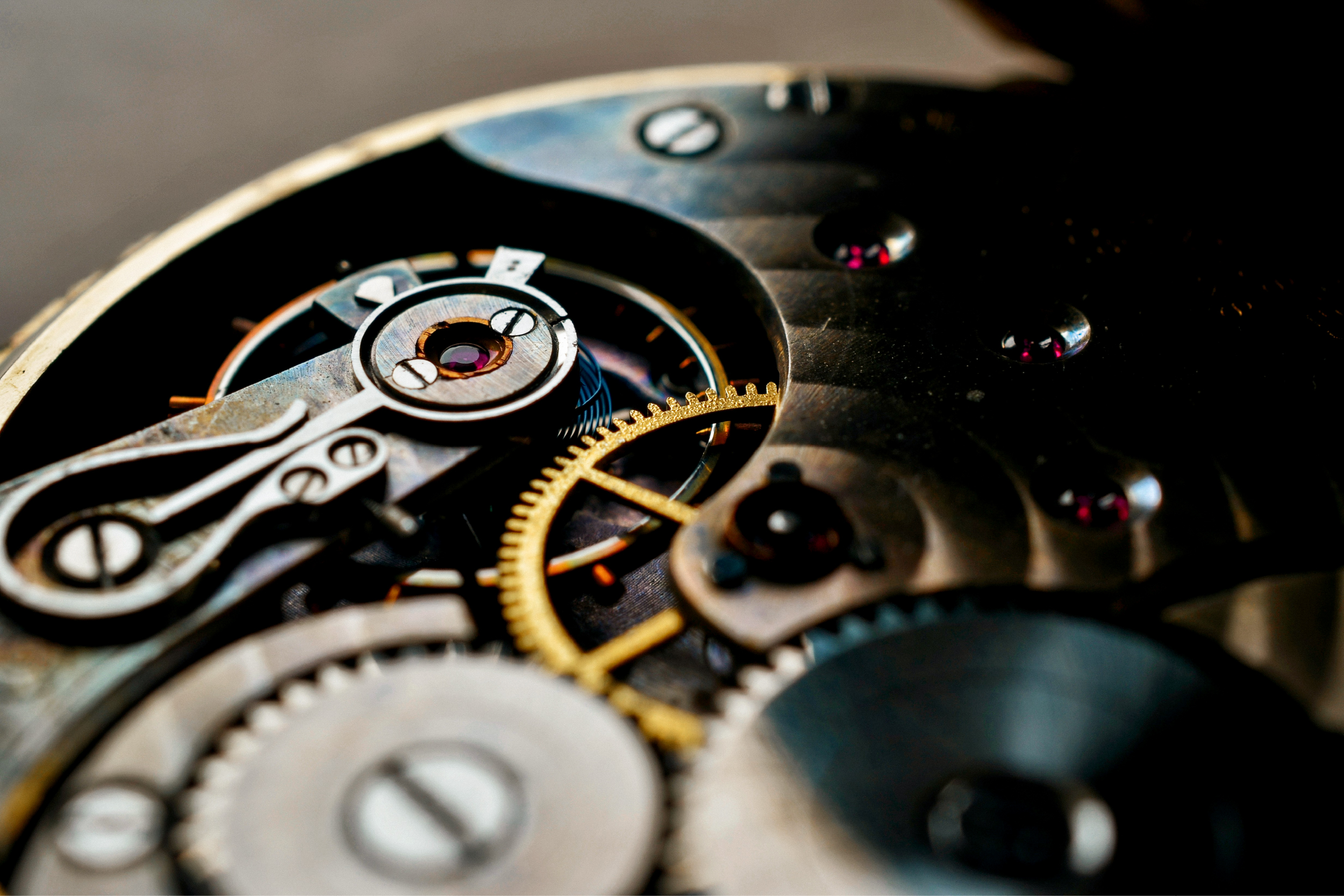 The movement of a mechanical watch
