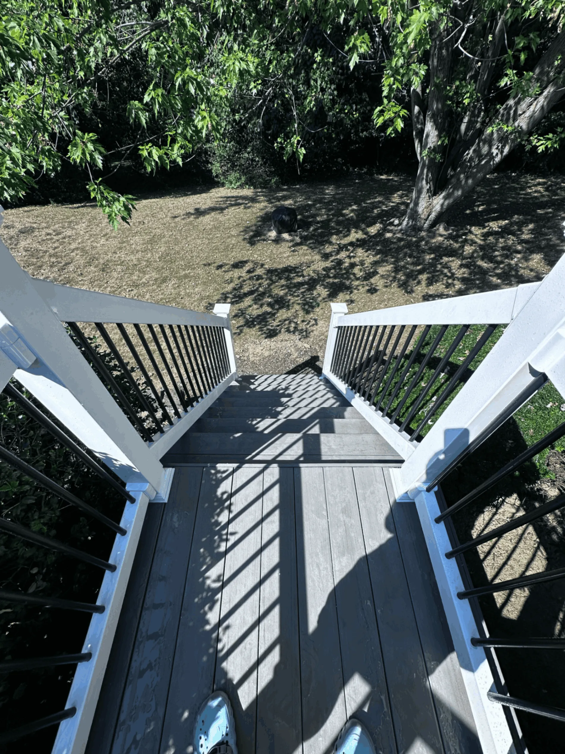 Gray deck stairs descending into a shaded backyard with white railings