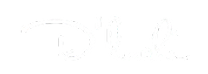 Logo de D'luchi