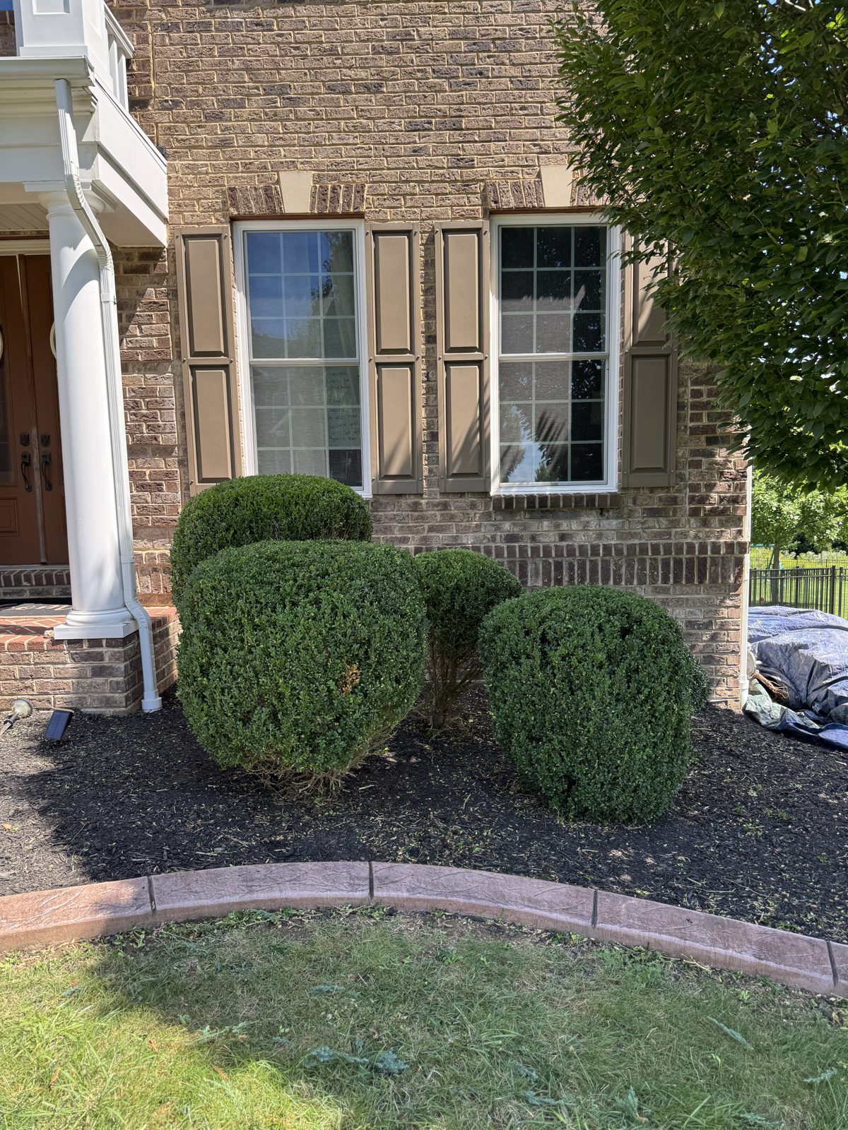 Trimmed shrubs along a brick home