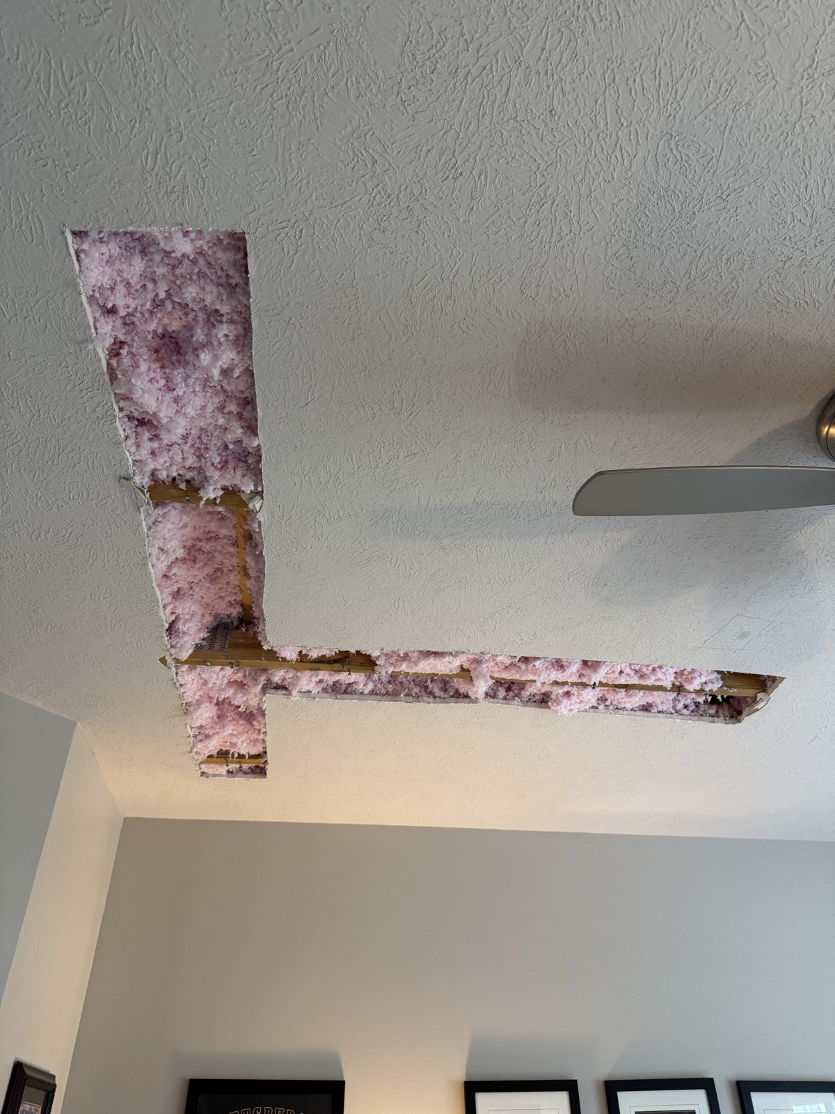 Ceiling opened in an L shape showing pink insulation above