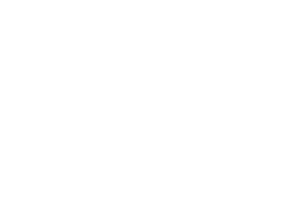 Single Fin