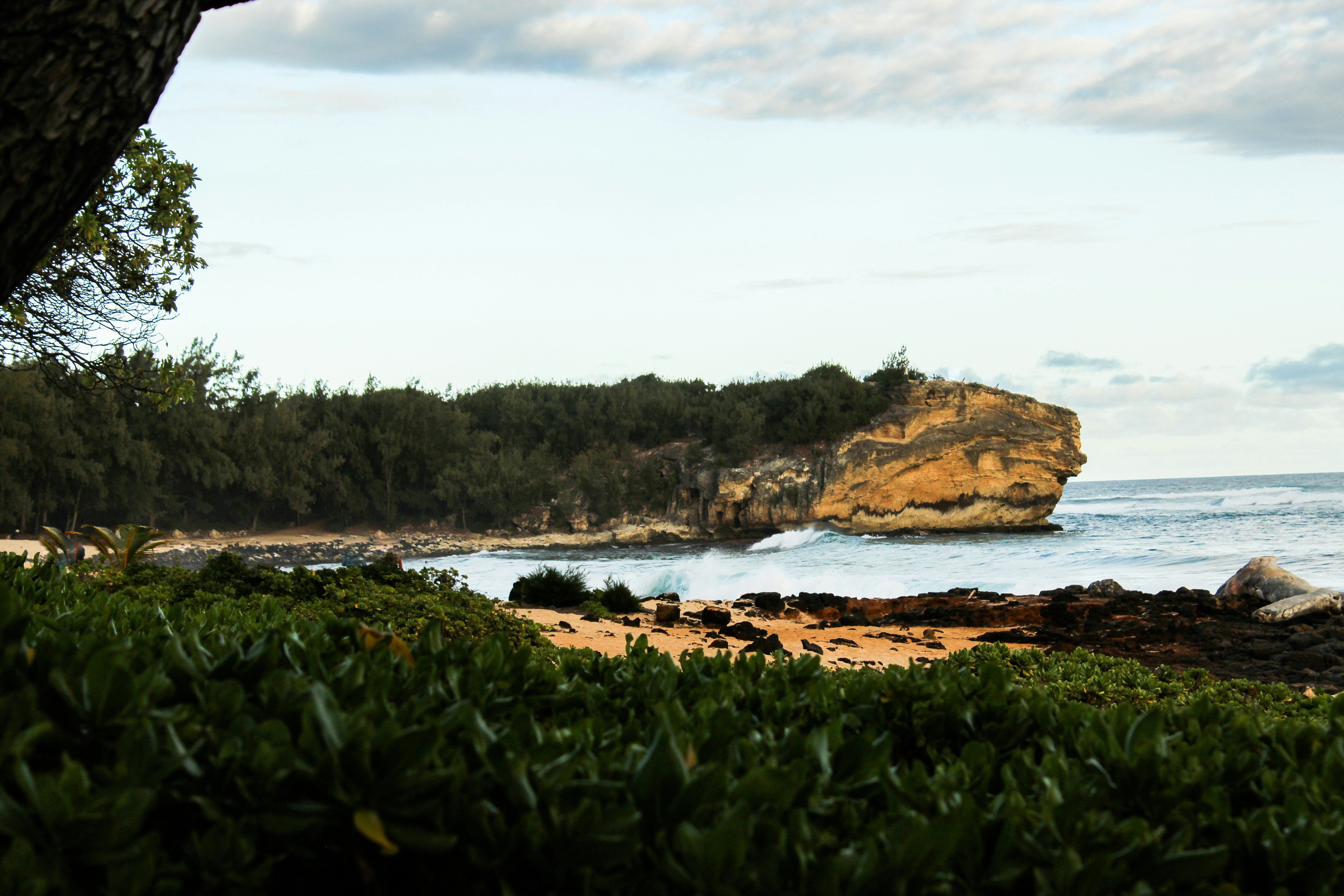 The golden sandstone cliff of Makawehi Bluff rising above the surf at the east end of Shipwreck Beach in Poipu, seen across the sand and lava rock from the green shoreline