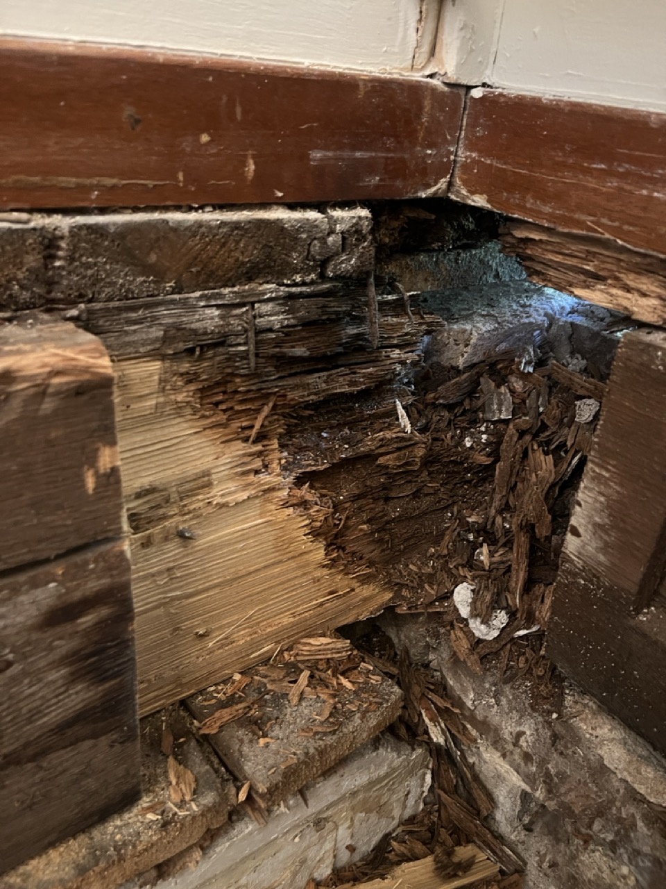 Herstel van door houtrot aangetaste balkkoppen in Het Oude Raadhuis op Urk, foto 1
