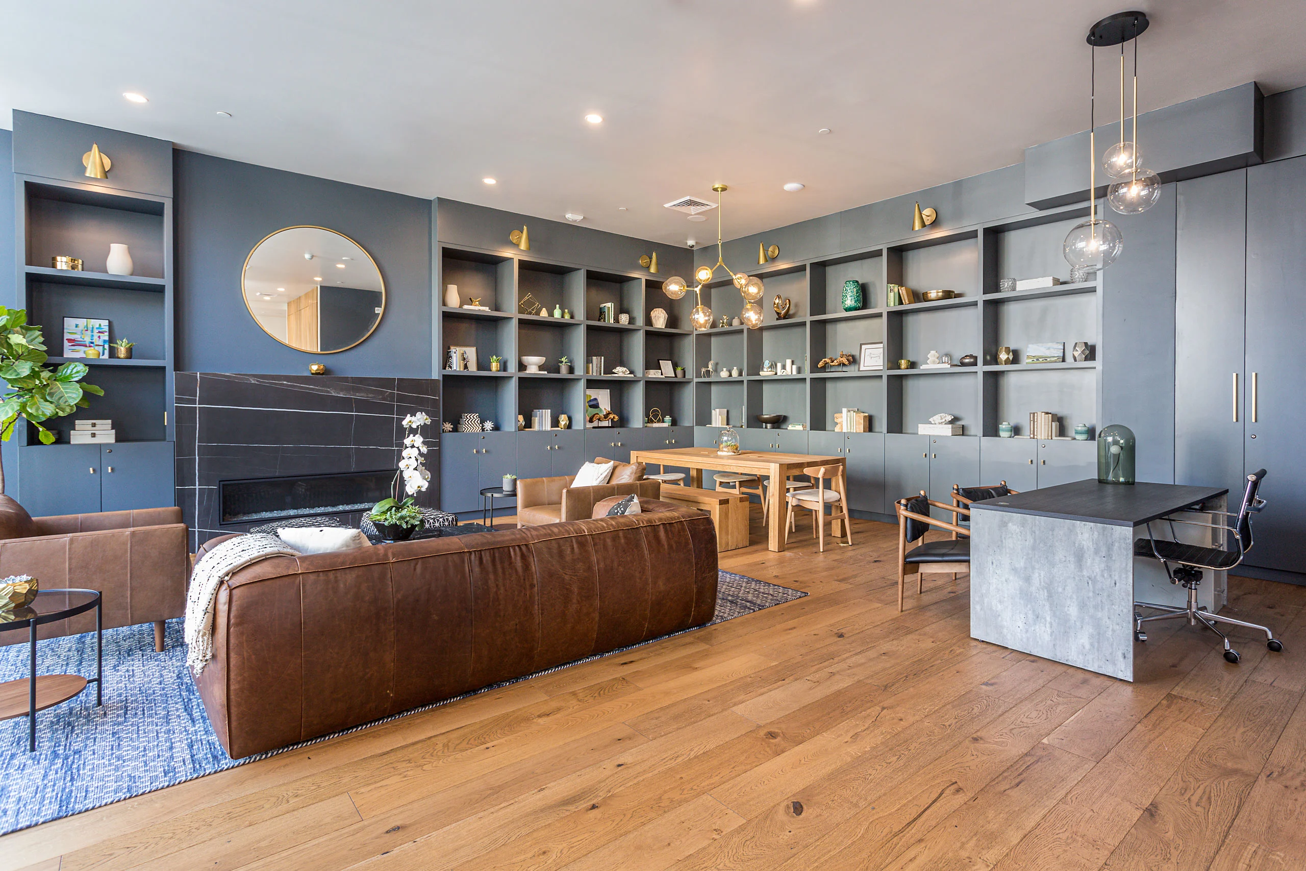 Design Coordination & Constructability