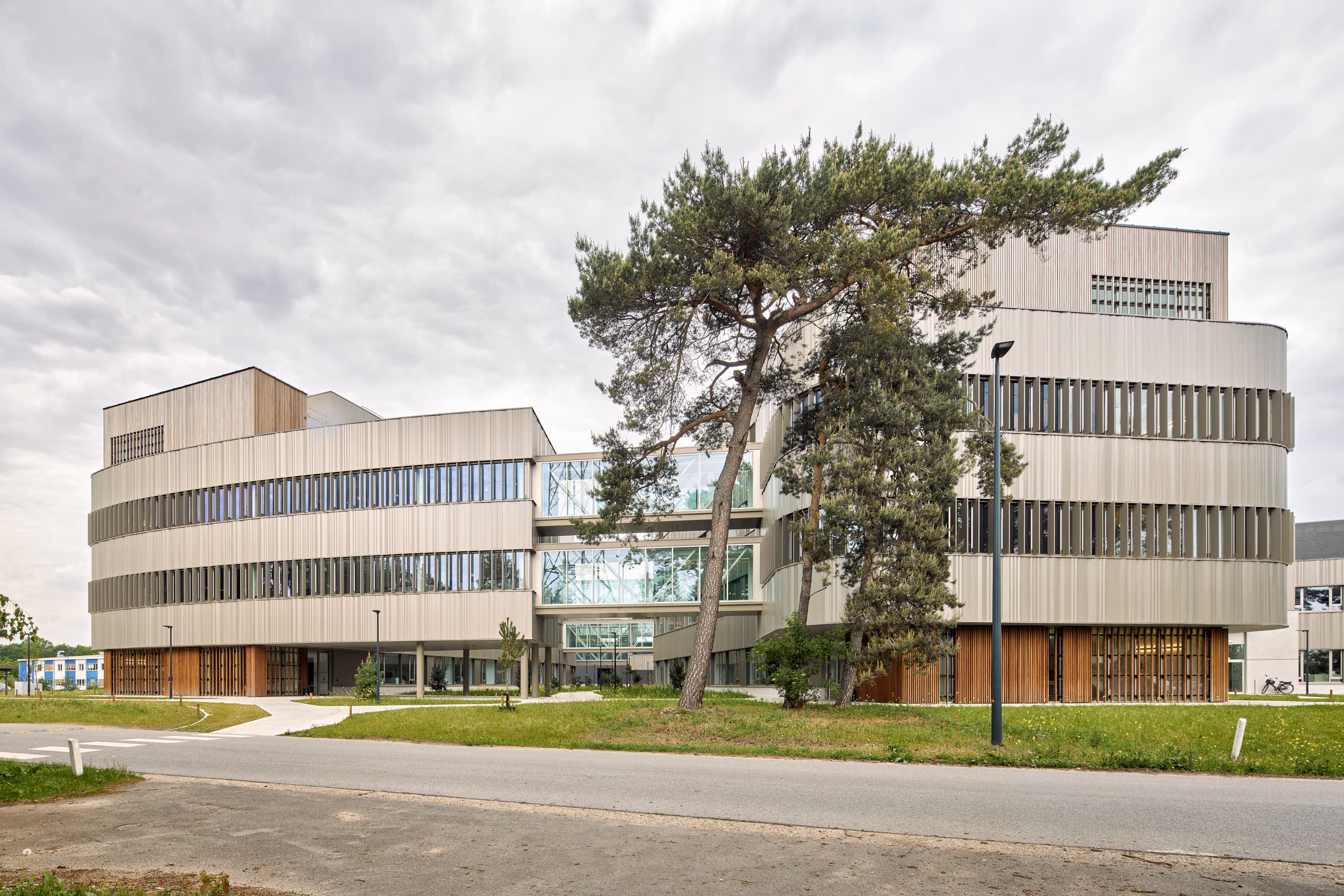 The VITO campus building in pale render and timber, set behind a mature pine tree.
