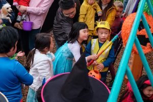 Williamson's Estate Community-Building Event