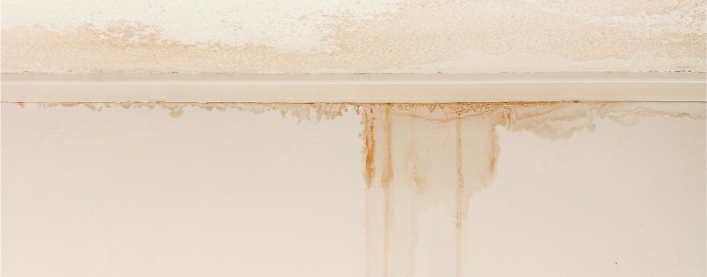 Water ingress, leaks & burst pipes