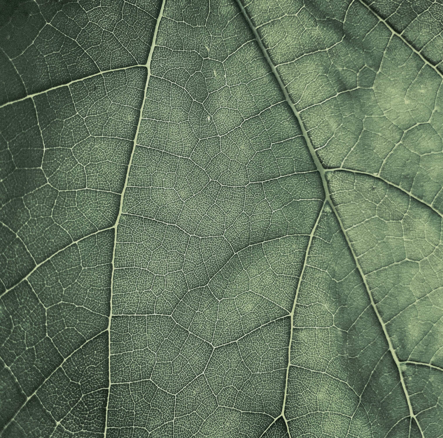 Materiaaldetail met natuurlijke textuur voor Toho-vastgoed