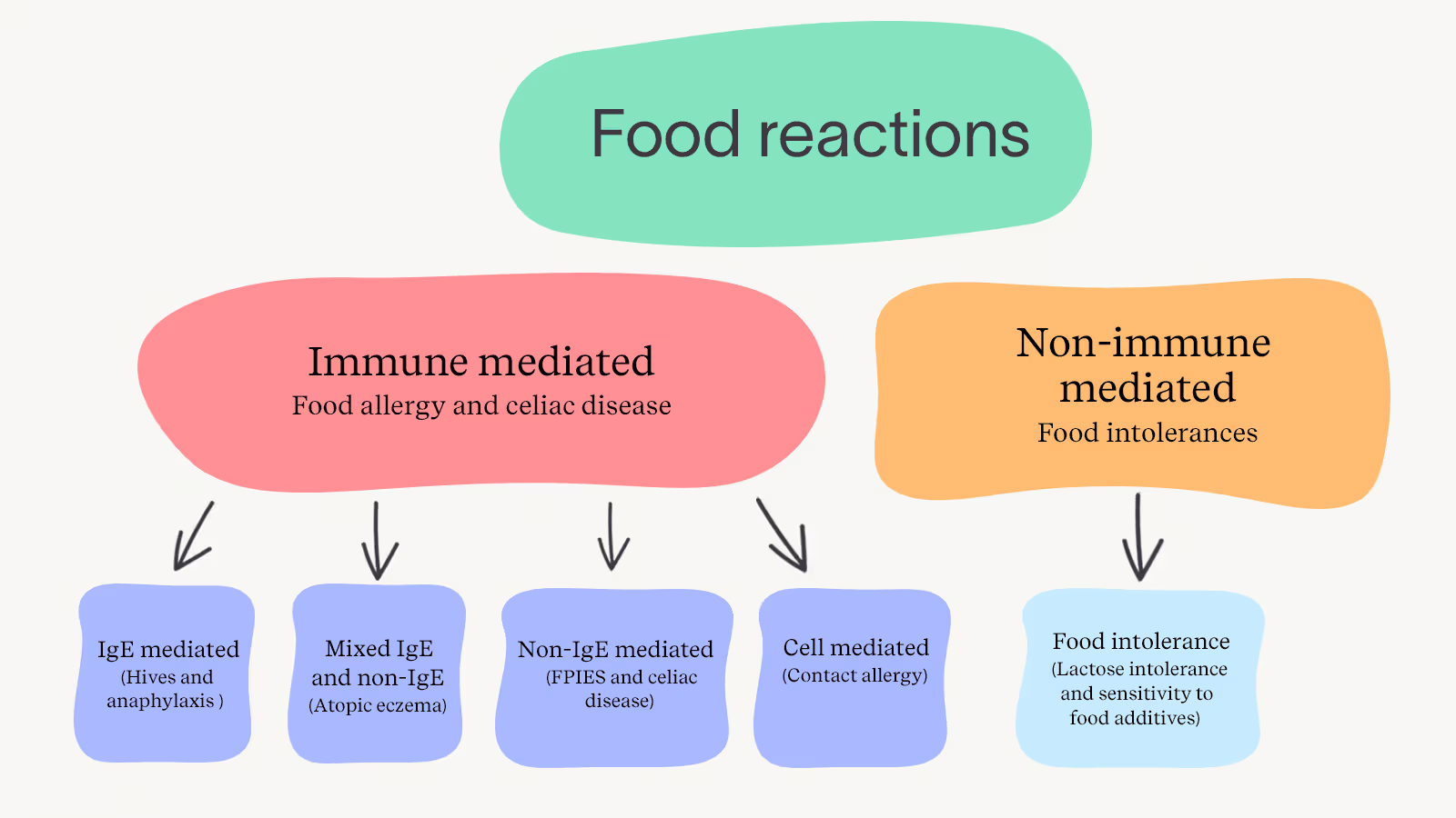 Common food reactions diagram, divided into immune-mediated and non-immune-mediated food intolerances