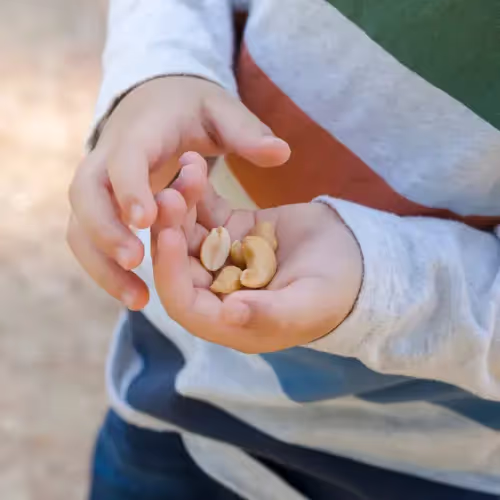 Close-up of a child holding a handful of mixed nuts, wearing a colorful striped shirt