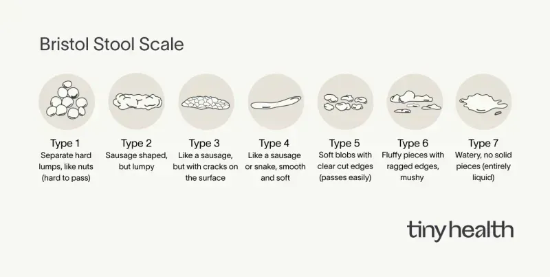The scale sorts poop into seven types based on shape and consistency, making it easy to see if things are running smoothly or if issues like diarrhea or constipation are creeping in. 
