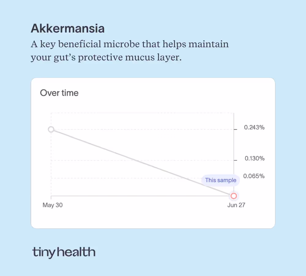 A key beneficial microbe, Scott's Akkermansia disappeared.