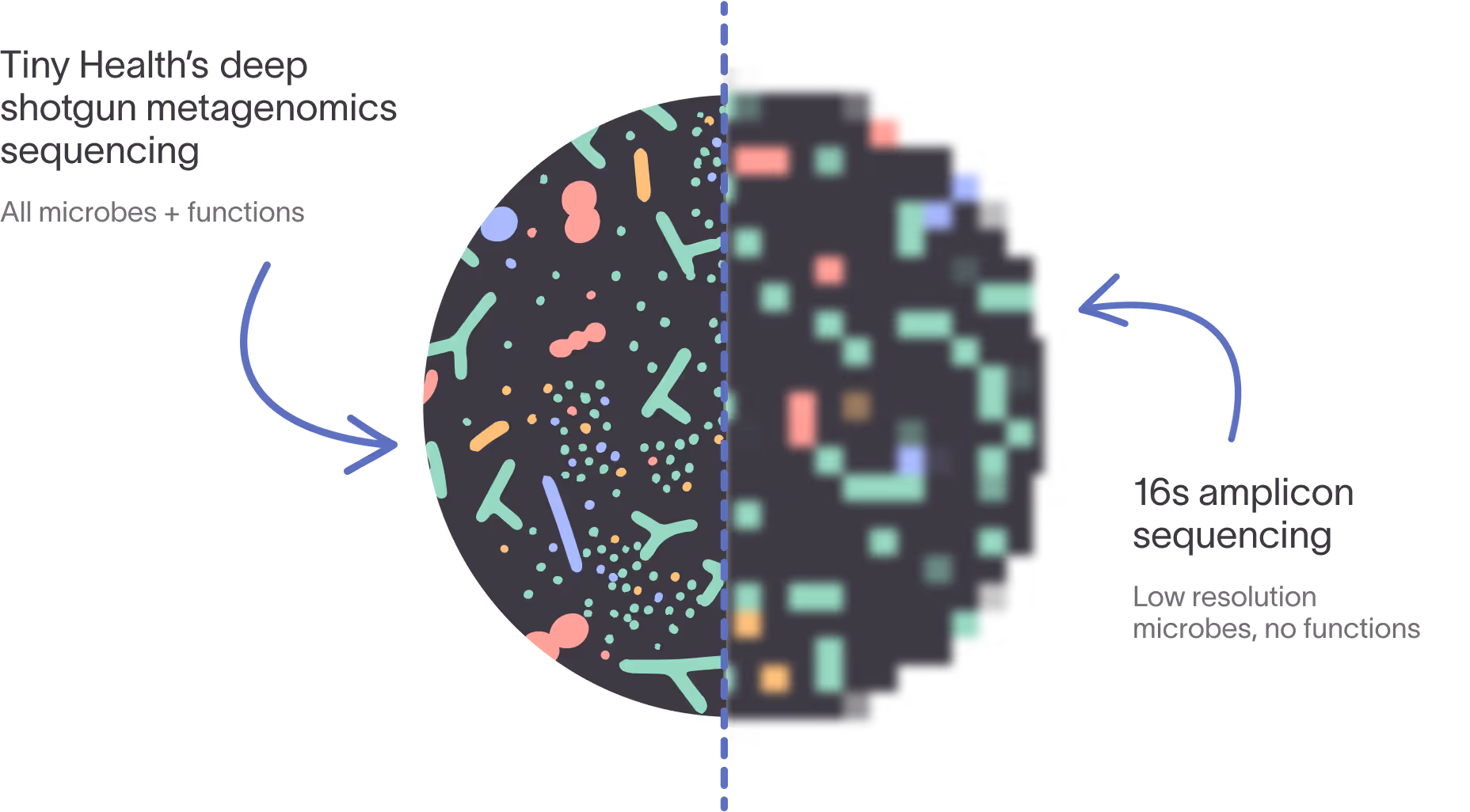 An illustration showing Tiny Health's deep shotgun metagenomic sequencing on the left with high resolution detail in microbes and functions, and 16s amplicon sequencing on the right with low resolution detail.
