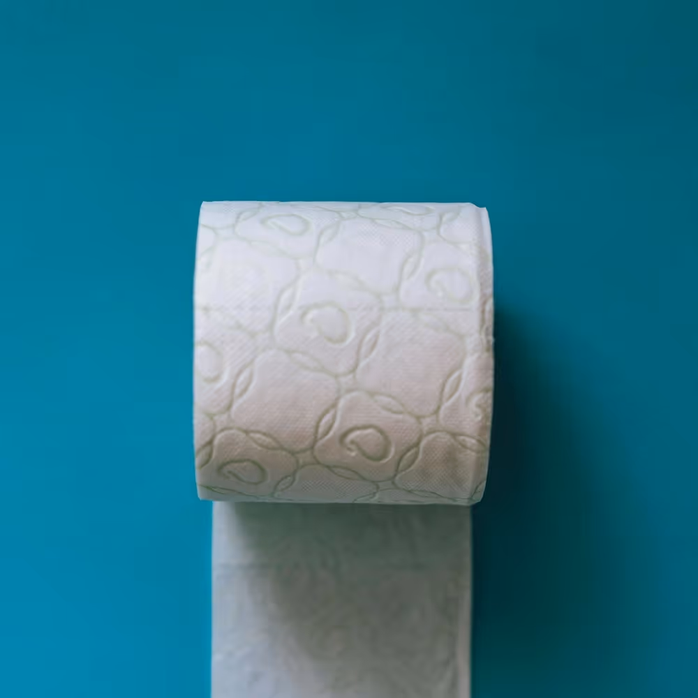A roll of white toilet paper with a subtle embossed pattern hanging against a teal wall.