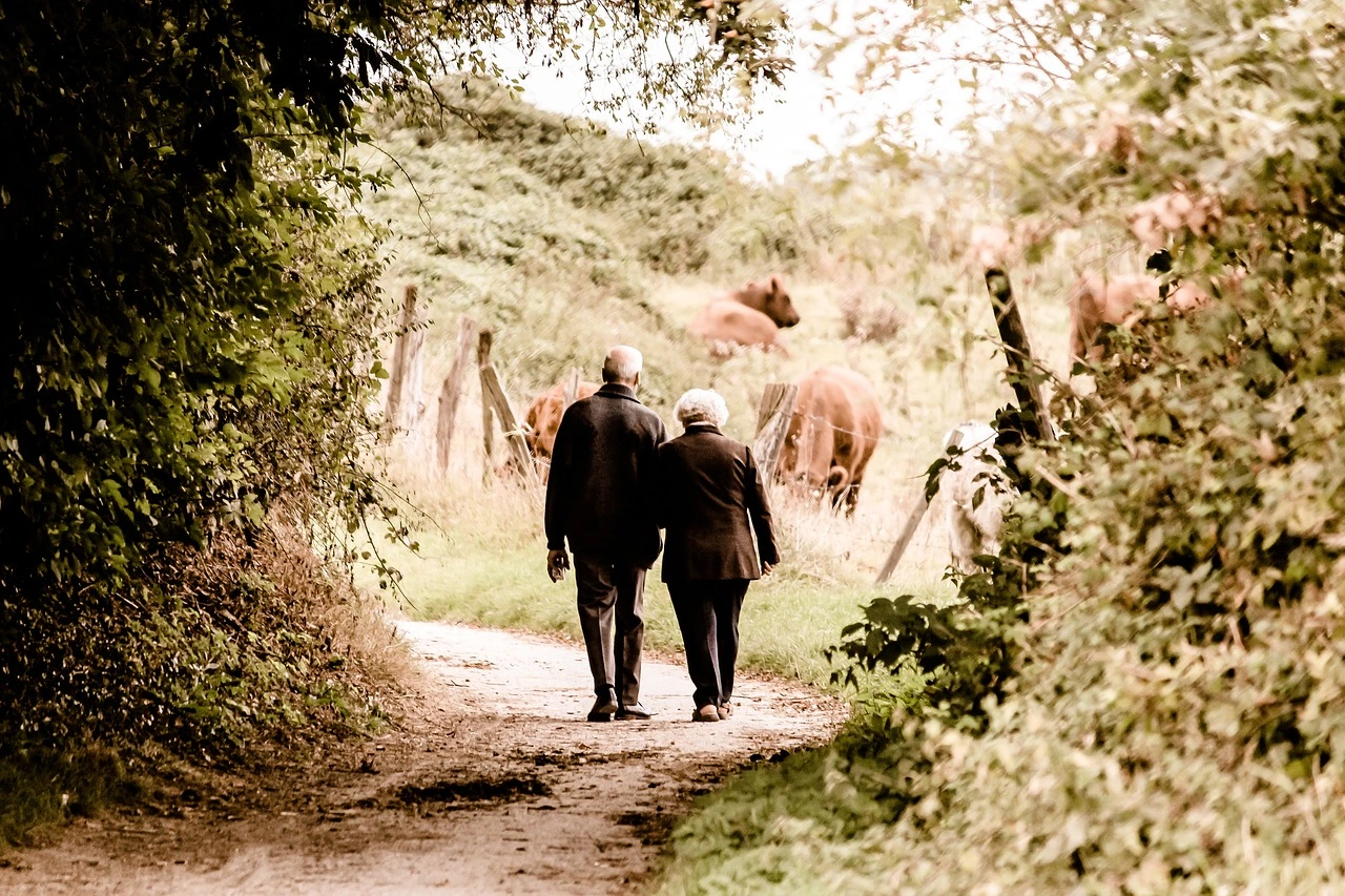 An elderly couple walks down a rural path surrounded by trees and grazing cows.