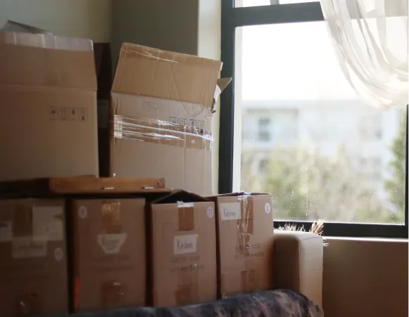 A stack of cardboard boxes is positioned near a window, with sunlight streaming in, illuminating the scene.