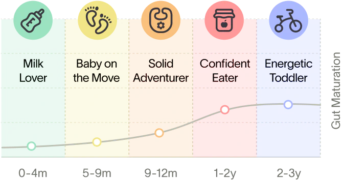 A chart displaying stages of child development, with a line graph indicating progress through each stage.