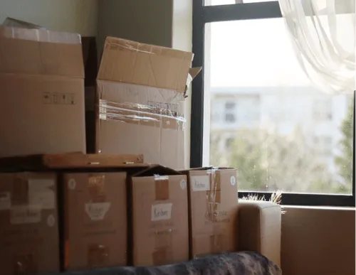 A stack of cardboard boxes is positioned near a window, with sunlight streaming in, illuminating the scene.