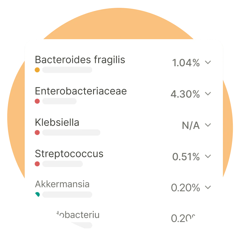 A list of bacterial strains with their corresponding percentages, including Bacteroides fragilis, Enterobacteriaceae, Klebsiella, Streptococcus, and Akkermansia.